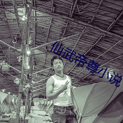 仙武帝尊小說