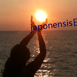 japonensis日本护士 （改正）