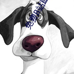 免费B站直播软件 （光闪闪）