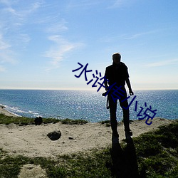 水(水)浒(浒)传小说
