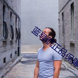 蓝导(do)航(hng)正(zhng)品保障acg
