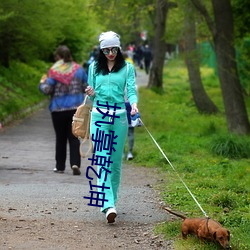 ca88手机客户端(安卓/苹果)CA88会员登录入口