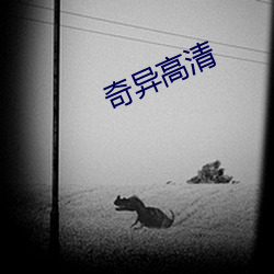 奇异高(高)清(清)