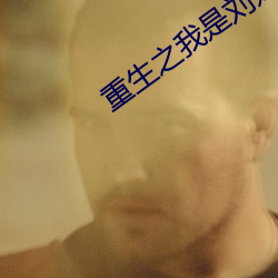 重生之我是(shì)刘姥姥