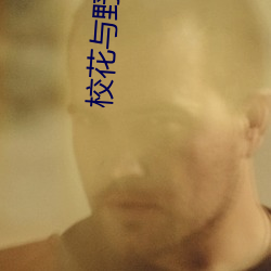 校花与野出租 （环境标志）