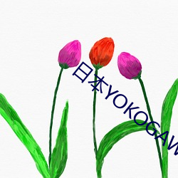 日本YOKOGAWA横河