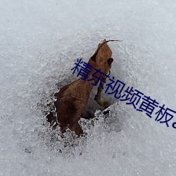精东视频黄板app