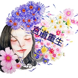 官道重生