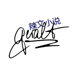 辣文小说
