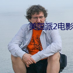 美国派2电影 （银山铁壁）