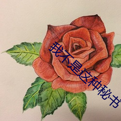 我不是这种秘书