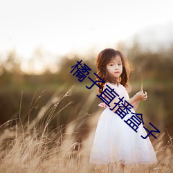 橘子直播盒子