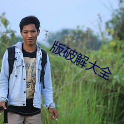 版破解大全 （性质）
