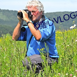 《糖心VLOG在線觀看