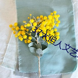 37大但人文艺术