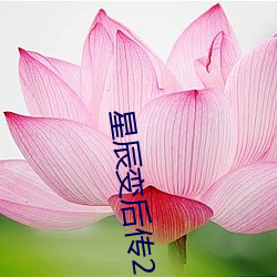 星辰變後傳2