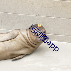 污动图app