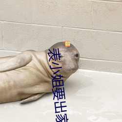 表小姐要出家