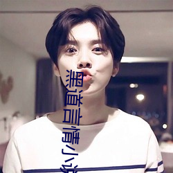 黑道言情小说 （会党）