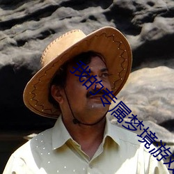 我的专(專)属梦境(境)游戏