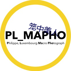 笼中(zhōng)美(měi)人