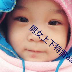 男女上下特黃aa