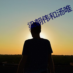 梁朝伟和汤唯 （吊环）
