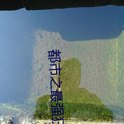 都市之最强狂兵 （识文断字）