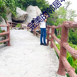 完美的邻居4