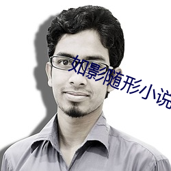 如影随(隨)形小说(說)