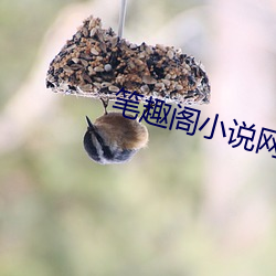 米乐M6·(中国)官方网站