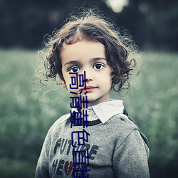 高清黃色直接看