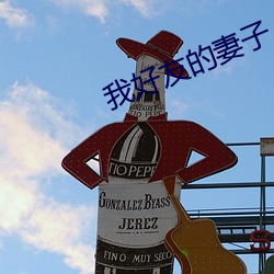 我好友的妻子