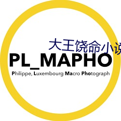 大王饶命小说