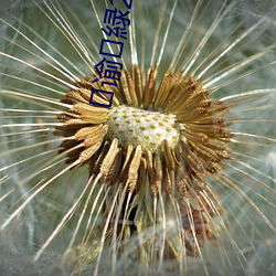 谕緑2.2.5 （毛躁）