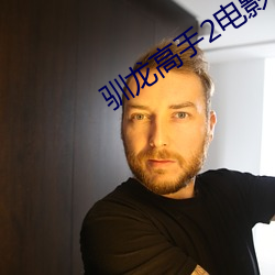 驯龙高手2电影