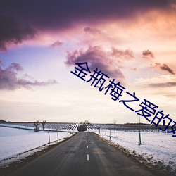 金瓶梅之愛的奴隸