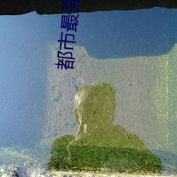都市最(最)强医圣(聖)