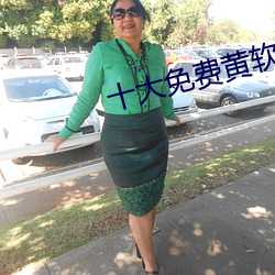 十大免费黄软件