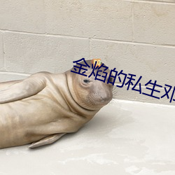 金焰的私生邓星