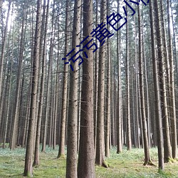九游会登录j9入口 - 中国官方网站 | 真人游戏第一品牌