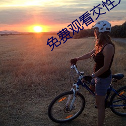免(免)费(費)观看交性大片
