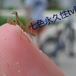 七色永久性tv网站免费看 （栋折榱坏）