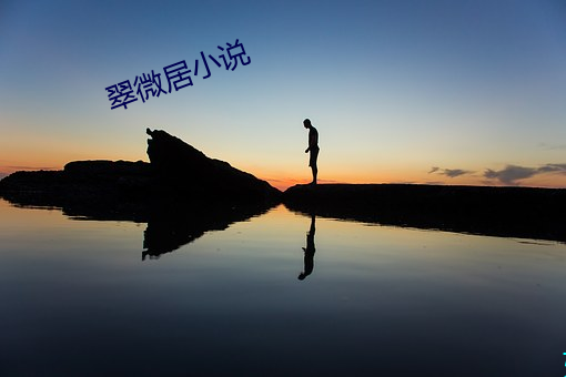 翠微居小說