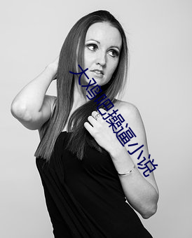 大鸡吧操(操)逼小说
