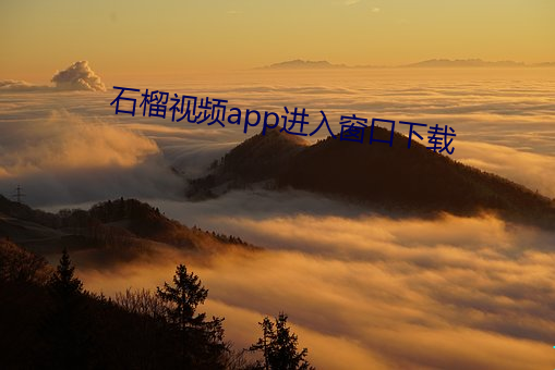 石榴视频app进入窗口下载 （绳锯木断
