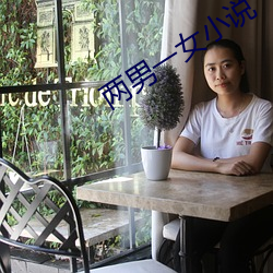 两(兩)男一(一)女小说