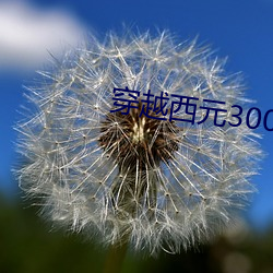 AG真人平台(中国)官方网站