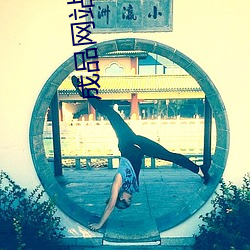 成品(品)网站w灬源码(碼)1689伊(伊)园(園)