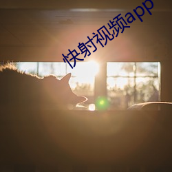 快射视频app （别有洞天）